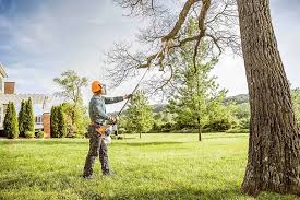 Best Seasonal Cleanup (Spring/Fall)  in Belvidere, NJ